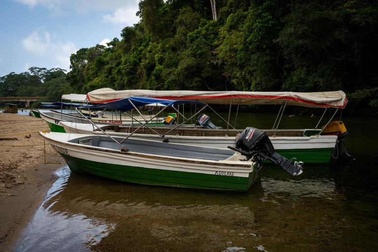Santa Marta: Ancestral Kogui Experience — Don Diego River Santa Marta: Kogui Ancestral Experience — Don Diego River
