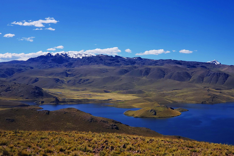 From Puno: 2-Day Tour to Colca Canyon ending in Arequipa