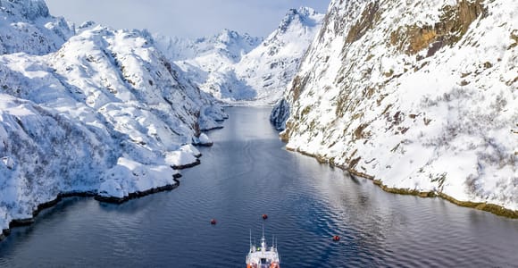 Tromsø: Whale Expedition | 99% successrate | All inclusive