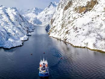 Whale Expedition: 24 Hours at Sea, All-Inclusive