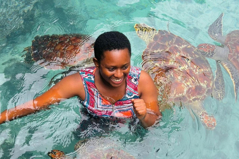 ZANZIBAR: Sea Turtle Swimming & Feeding Experience in NUNGWI