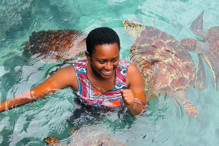 ZANZIBAR: Sea Turtle Swimming & Feeding Experience in NUNGWI