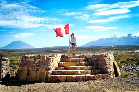 Excursión Laguna de Salinas y Reserva Nacional 8 horas