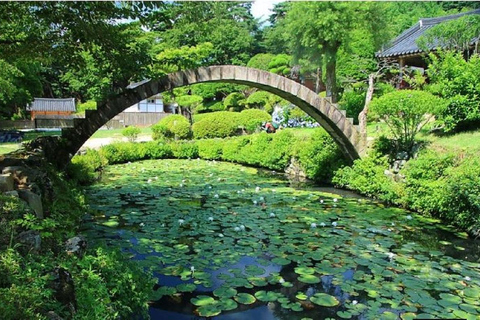 From Busan: Hidden Buddhist Temples Tour Private Day Trip 4-hour Seokbulsa & Hongryongsa Temple Tour