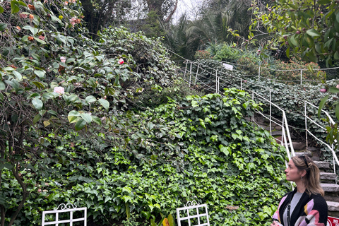 圣地亚哥 | La Moneda | 主广场 | 聂鲁达的 La Chascona圣地亚哥 | 拉莫内达宫 | 主广场 | 聂鲁达的查斯科纳宫