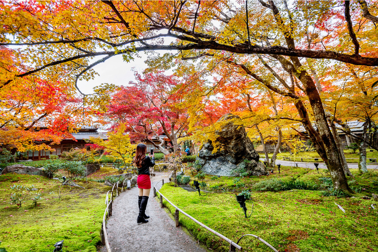 Tokyo Full Day Private Sightseeing Tour with English Driver