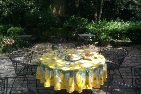 Charleston: Walking Tour with a Local Guide