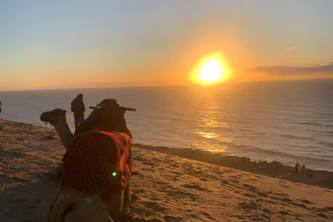 Agadir: Sandboarding with Optional Dinner & Quad Bike Tour Agadir: Sandboarding at Sunset with Dinner & Quad Option