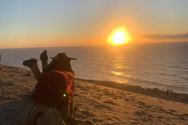 Agadir: Sandboarding with Optional Dinner & Quad Bike Tour Agadir: Sandboarding at Sunset with Dinner & Quad Option