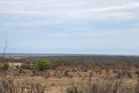 Night Game Drive in Kasane, Lesoma Valley