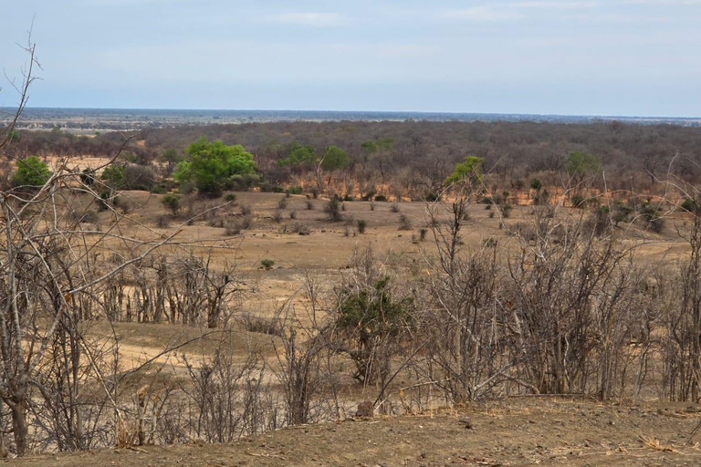 Night Game Drive in Kasane, Lesoma Valley