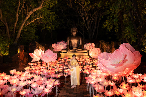 The Lens: Once-a-Year Light Festival Journey Light Festival at Na Satta Park: Magical Once-a-Year Moment