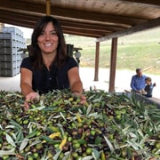 Pienza: Tour durch die Olivenölmühle und Verkostung auf der Fattoria Fregoli