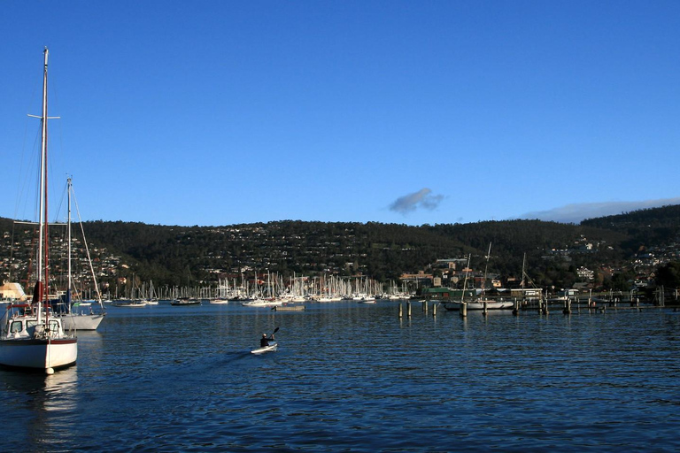 Tour a piedi del patrimonio culturale di Hobart e crociera al faro di Iron Pot