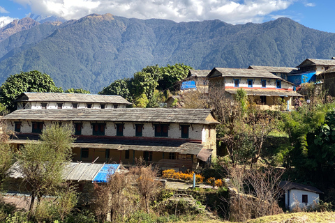 Katmandou : 3 jours de randonnée guidée à Ghorepani Poon HillAu départ de Katmandou : randonnée guidée de 3 jours au lever du soleil à Poon Hill