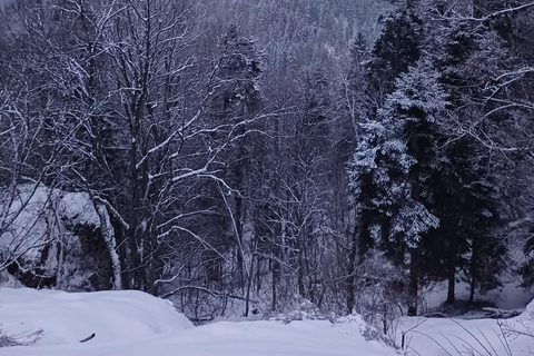 博罗韦茨徒步和雪橇之旅，参观比斯特里察皇家宫殿博罗维茨徒步和雪橇之旅，参观比斯特里察皇家宫殿