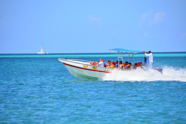 Best Trip to Saona Island: Beaches, Snorkeling, Sea Star (max 15), Speedboat