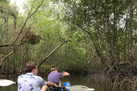 Ko Lanta: Halvdagsutflykt EXPLORE MANGROVE med KAYAKING Tour