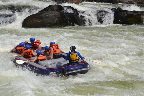 Tour di 2 giorni con rafting sullo Zambesi, safari con rinoceronti e Parco Nazionale di Chobe2 giorni di rafting sul fiume Zambesi, safari alla ricerca dei rinoceronti e tour del P