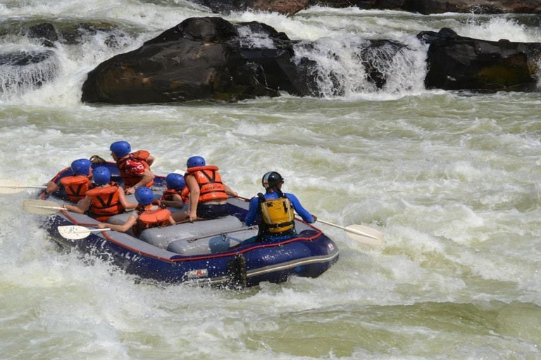 Tour di 2 giorni con rafting sullo Zambesi, safari con rinoceronti e Parco Nazionale di Chobe2 giorni di rafting sul fiume Zambesi, safari alla ricerca dei rinoceronti e tour del P