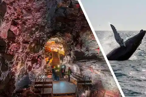 Reykjavik: Whale Watching and Lava Tunnel Combo Tour