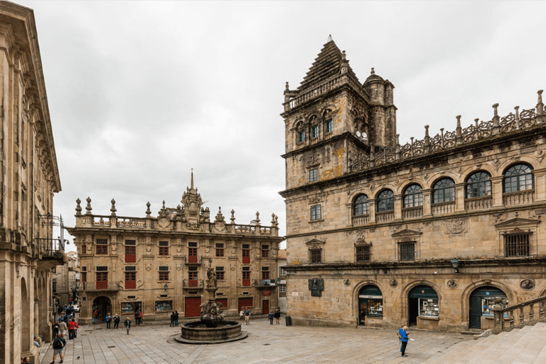 Från Porto: Privat sightseeingtur till Santiago da Compostela