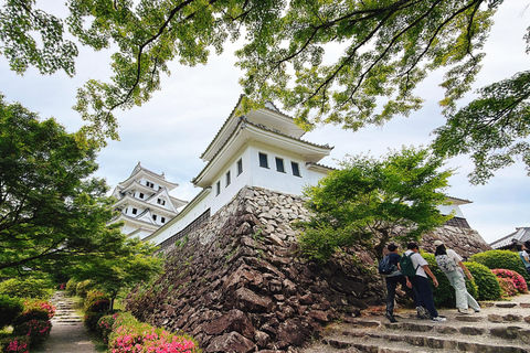Gujo Hachiman Day Trip: Mountain Castle & Traditional Town The popular Gujyo town tour