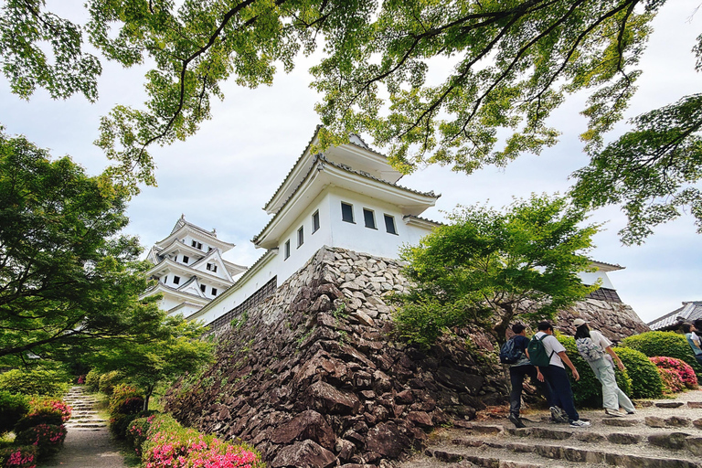 Gujo Hachiman Day Trip: Mountain Castle & Traditional Town The popular Gujyo town tour