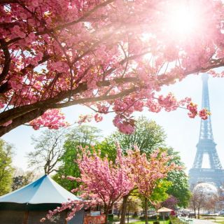 Paris: "Live, Laugh, Love along the Seine" City Game