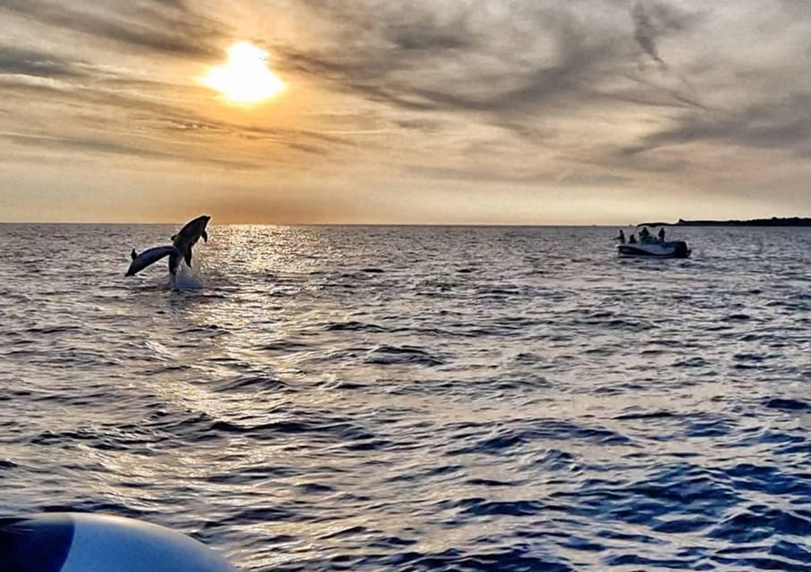 Pula Excursión de avistamiento de delfines al atardecer con cena