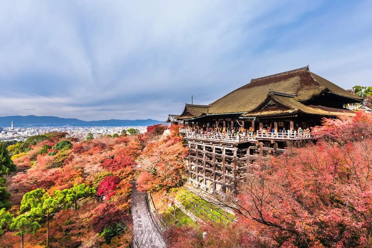 Toulouse: Sushi Workshop and Trip to Japan Basic Sushi Workshop and Trip to Japan