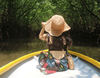 Mangrove Day Tour - Bintan - Housity