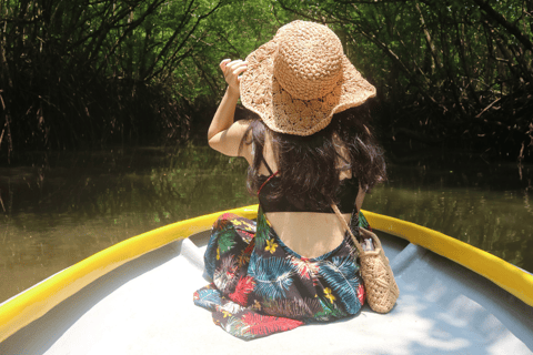 Mangrove Day Tour - Bintan Fireflies Night Tour - Bintan