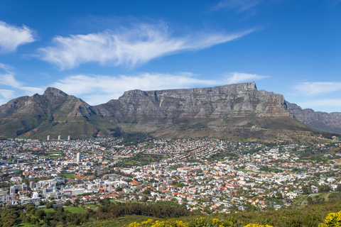 Cape Town: Private Full Day City & Winelands Tour