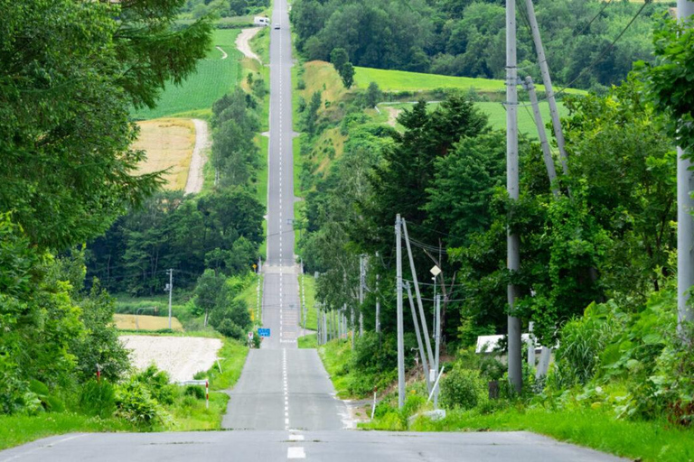 Hokkaido Summer: Furano Flower Fields & Blue Pond Photo Tour Summer Hokkaido: Colorful Flower Fields, Blue Pools, Alpaca