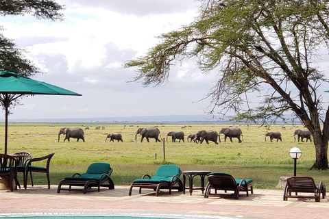 Safari di 5 giorni ad Amboseli, Tsavo West, Taita e Tsavo East