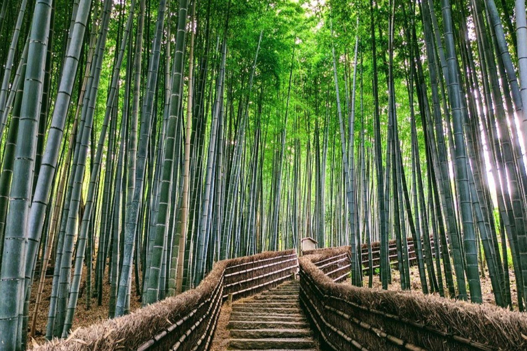 Kyoto, Nara, and Osaka: Private Customizable Tour