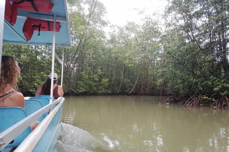 مانويل أنطونيو: جولة بالقارب بين أشجار المانغروف لمشاهدة الحيوانات