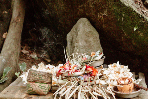 Ubud: Guarigione energetica spirituale e di recuperoTutto incluso