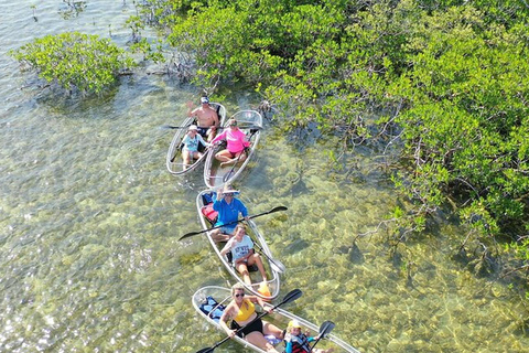 Key West Area: Guided Clear Kayak Eco-Tour