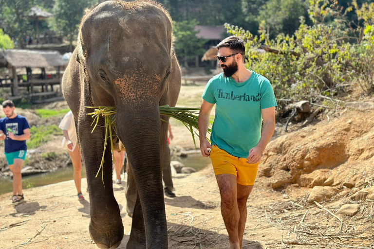 Chiang Mai 2-Day: Good Morning Elephant & Overnight Homestay