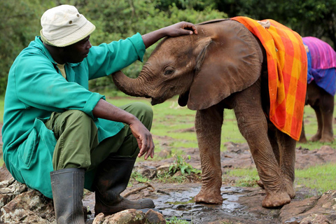 National Park, Baby Elephant, Giraffe Centre, & Kazuri Beads