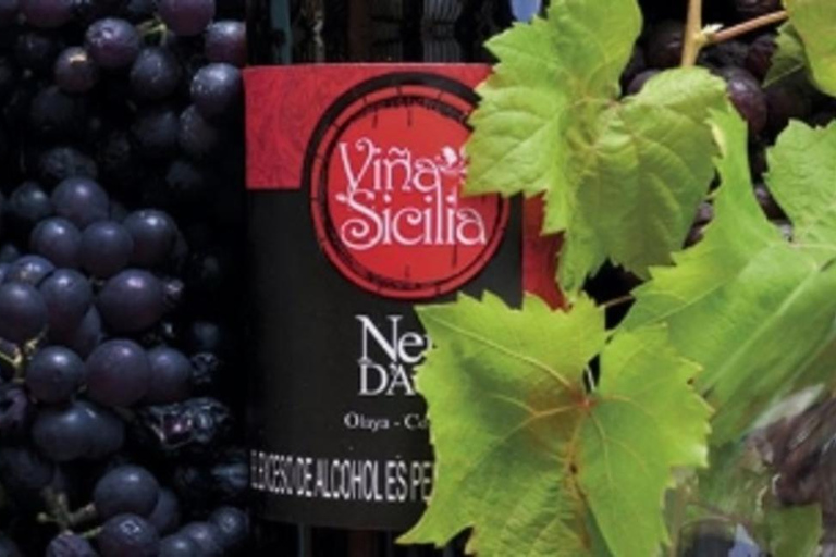Medellin: Wine Tour in Antioquia, Flavors and unforgettable moments