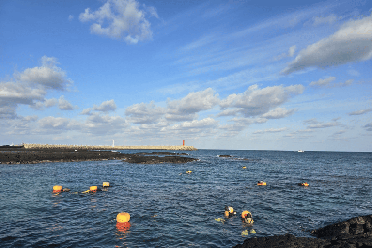 Jeju: Haenyeo Culture Experience with Seafood Tasting