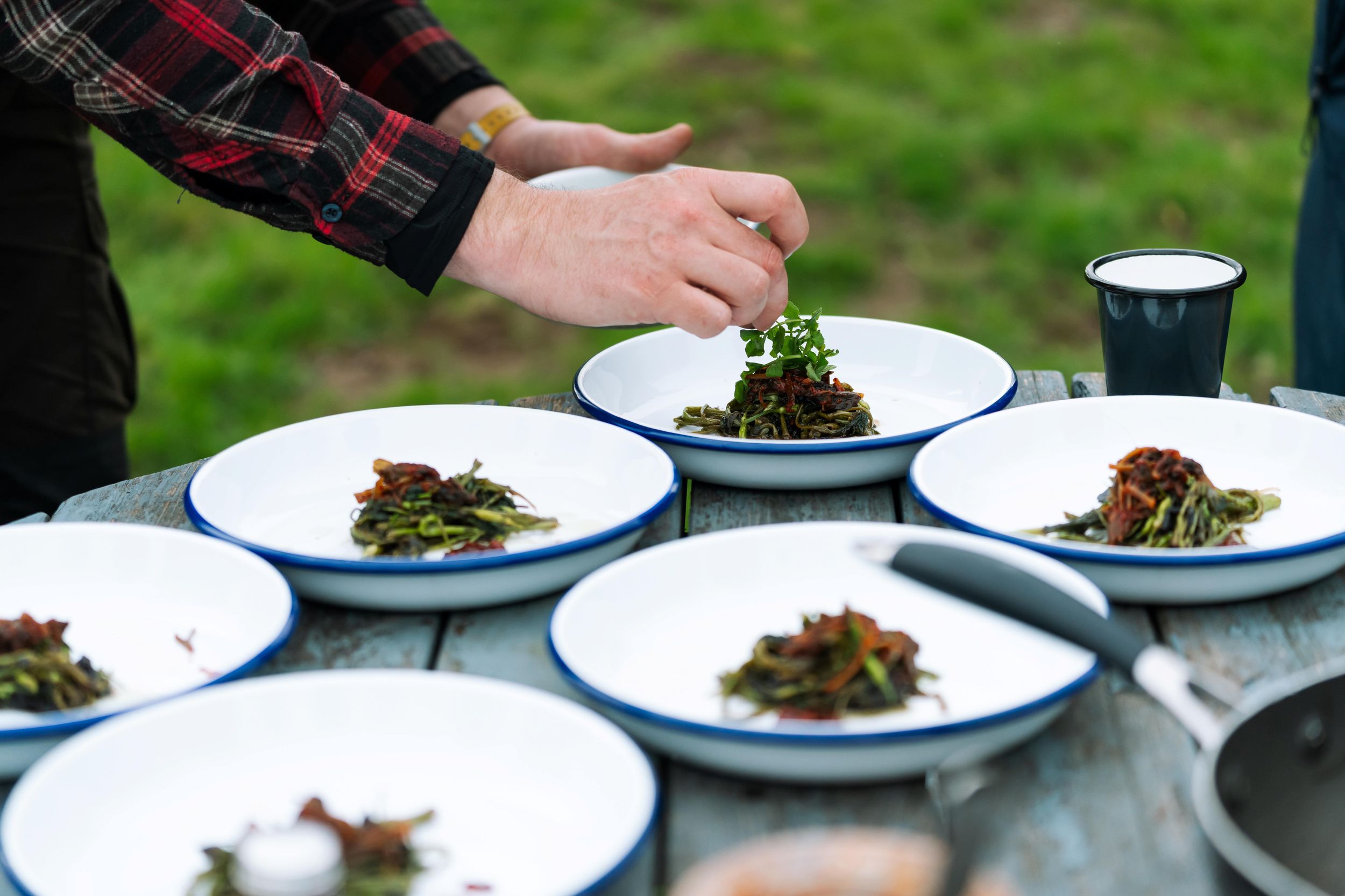 Keswick: Wildpflanzen-Sammel-Entdeckung mit Wildsnack