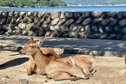 Hiroshima: Esplora Miyajima Tour privato personalizzato con personale localecon MASA: Miyajima 5h