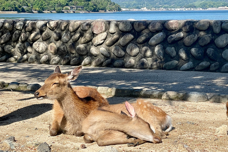 Hiroshima : Visite privée de Miyajima avec un guide local 5 heuresMiyajima 5 heures