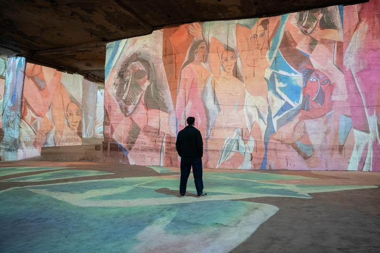 Les Baux-de-Provence: Carrières des Lumières Picasso-Frida Kahlo ticket