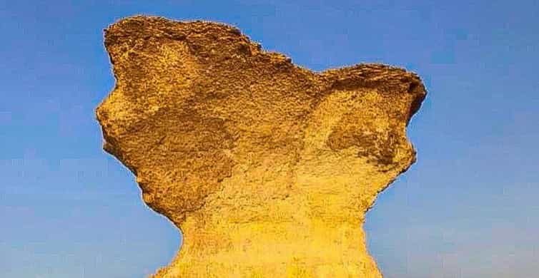 From Doha: Culture & History Qatar Tour to the North & West photo 17