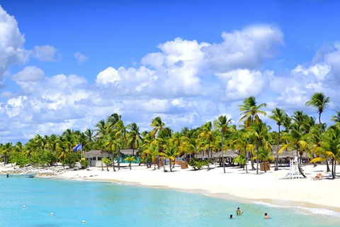 Punta Cana: viagem de 1 dia para mergulho na Ilha CatalinaPunta Cana: Viagem de 1 dia para mergulho na Ilha Catalina